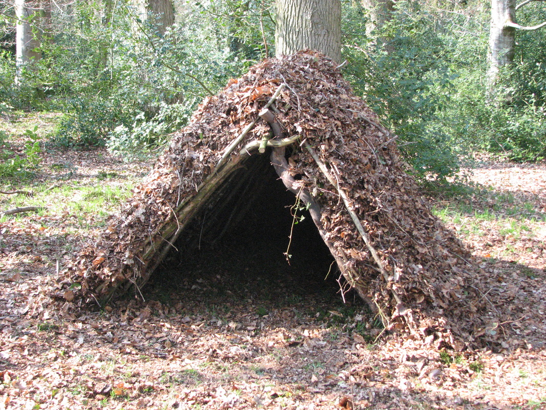 Large leaf shelter at the Devon woodland